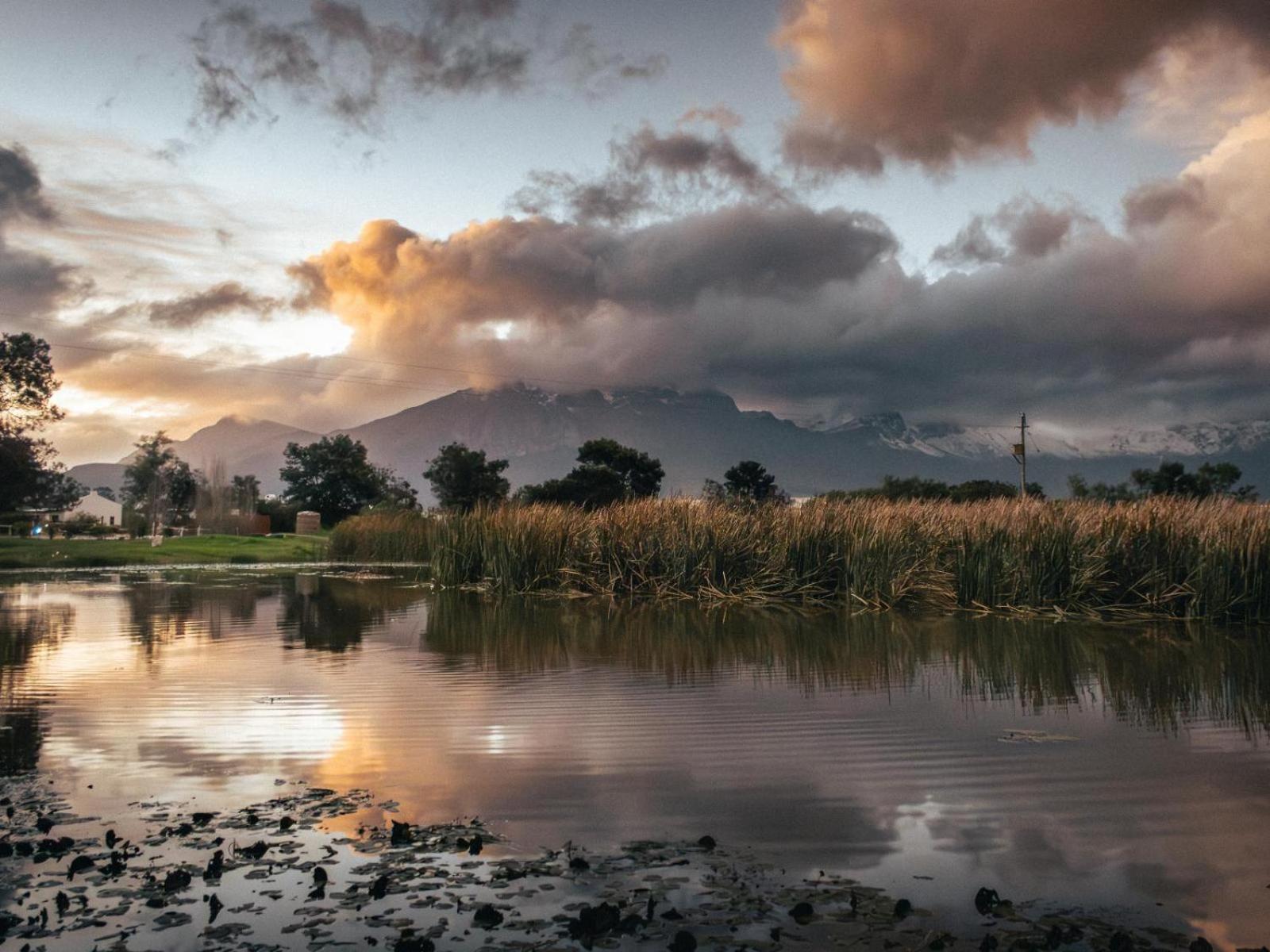 Duikersdrift Winelands Country Escape Ξενοδοχείο Tulbagh Εξωτερικό φωτογραφία